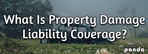 What Is Property Damage Liability Coverage?