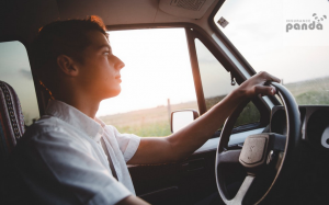 How Do You Insure a Driver with a Learner’s Permit?