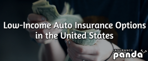 Low-Income Auto Insurance Options in the US