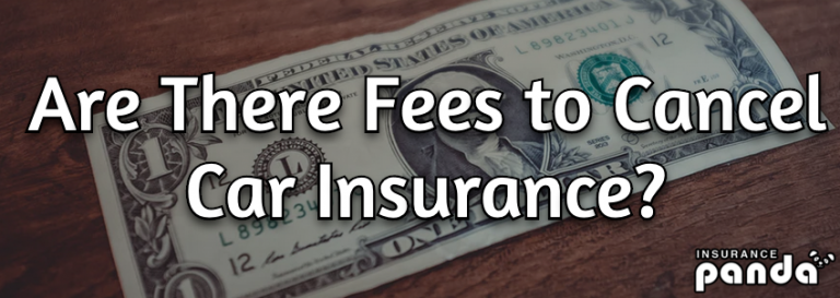 Are There Fees to Cancel Car Insurance? Cancellation Fees Explained