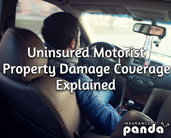 What Is UMPD Coverage? How Much Does It Cost?
