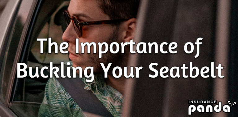 The Importance of Buckling Your Seatbelt