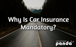 Why Is Car Insurance Mandatory?