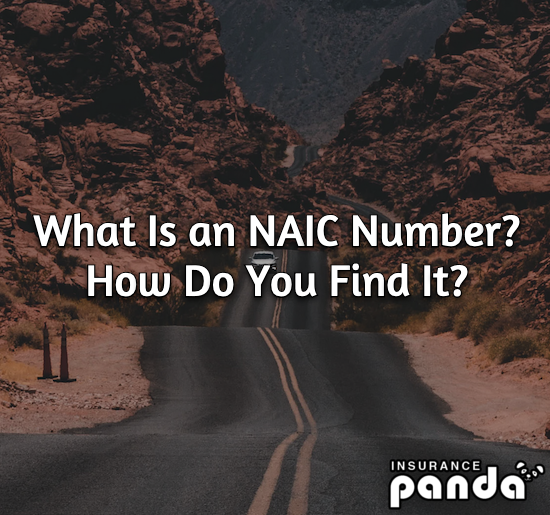 What Is an NAIC Number? How Do You Find It?