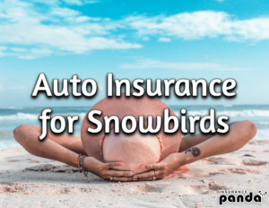 Auto Insurance for Snowbirds: How Does It Work?