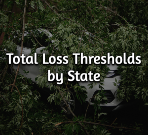Total Loss Thresholds by State